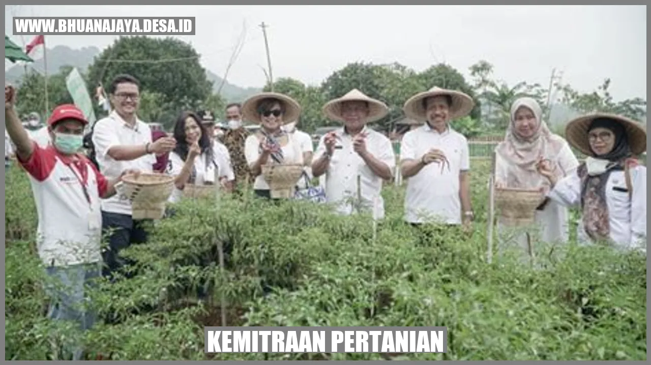 Kemitraan Pertanian: Meningkatkan Produksi dan Kesejahteraan Petani Desa Bhuana Jaya Jaya