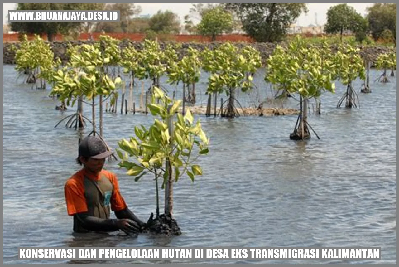 Konservasi dan Pengelolaan Hutan di Desa Eks Transmigrasi Kalimantan: Melindungi Warisan Alam yang Berharga