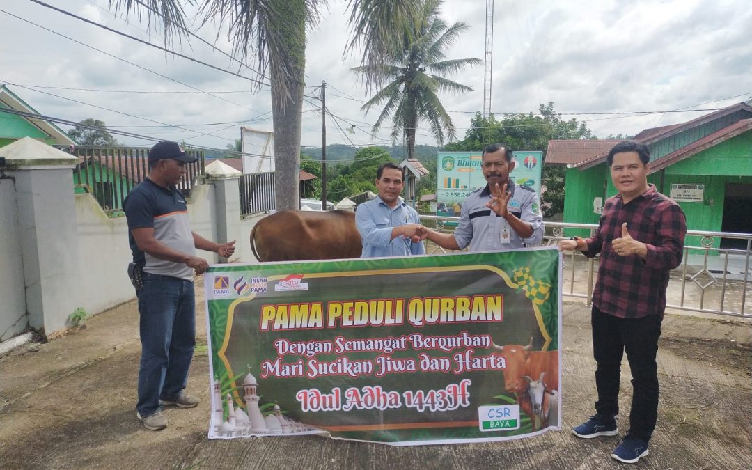 Jelang Idul Adha PT. Pamapersada  Nusantara Serahkan Hewan Kurban di Desa  Bhuana Jaya