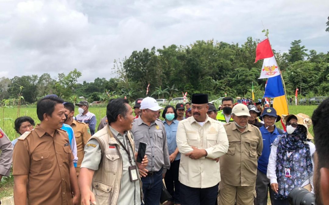 Bupati Kutai Kartanegara Hadiri Panen Raya Padi di Desa Bhuana Jaya