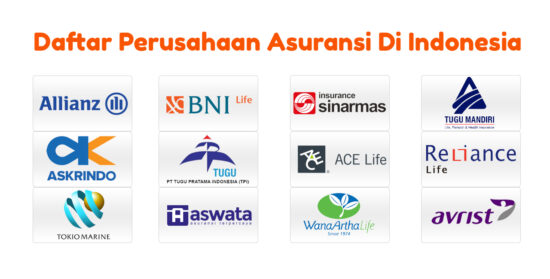 Asuransi Mikro Terbaik di Indonesia: Solusi Finansial untuk Usaha Mikro di Desa Bhuana Jaya Asuransi Mikro Terbaik di Indonesia: Solusi Finansial untuk Usaha Mikro di Desa Bhuana Jaya