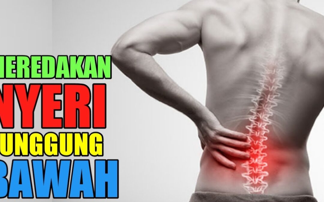 Mengatasi Sakit Punggung saat Kerja di Rumah: Tips Ergonomi untuk Kesehatan Tulang Belakang yang Optimal