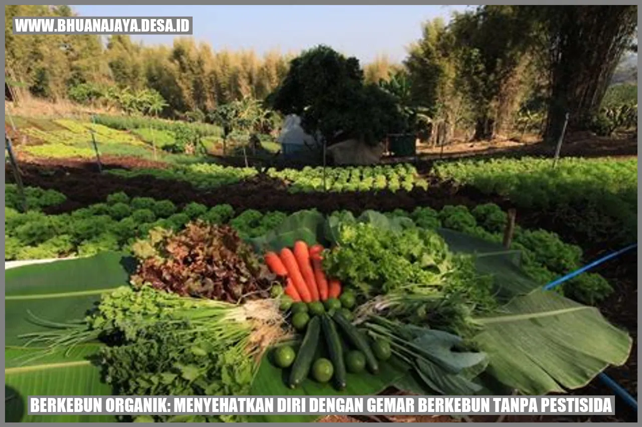 Berkebun Organik: Menyehatkan Diri dengan Gemar Berkebun Tanpa Pestisida