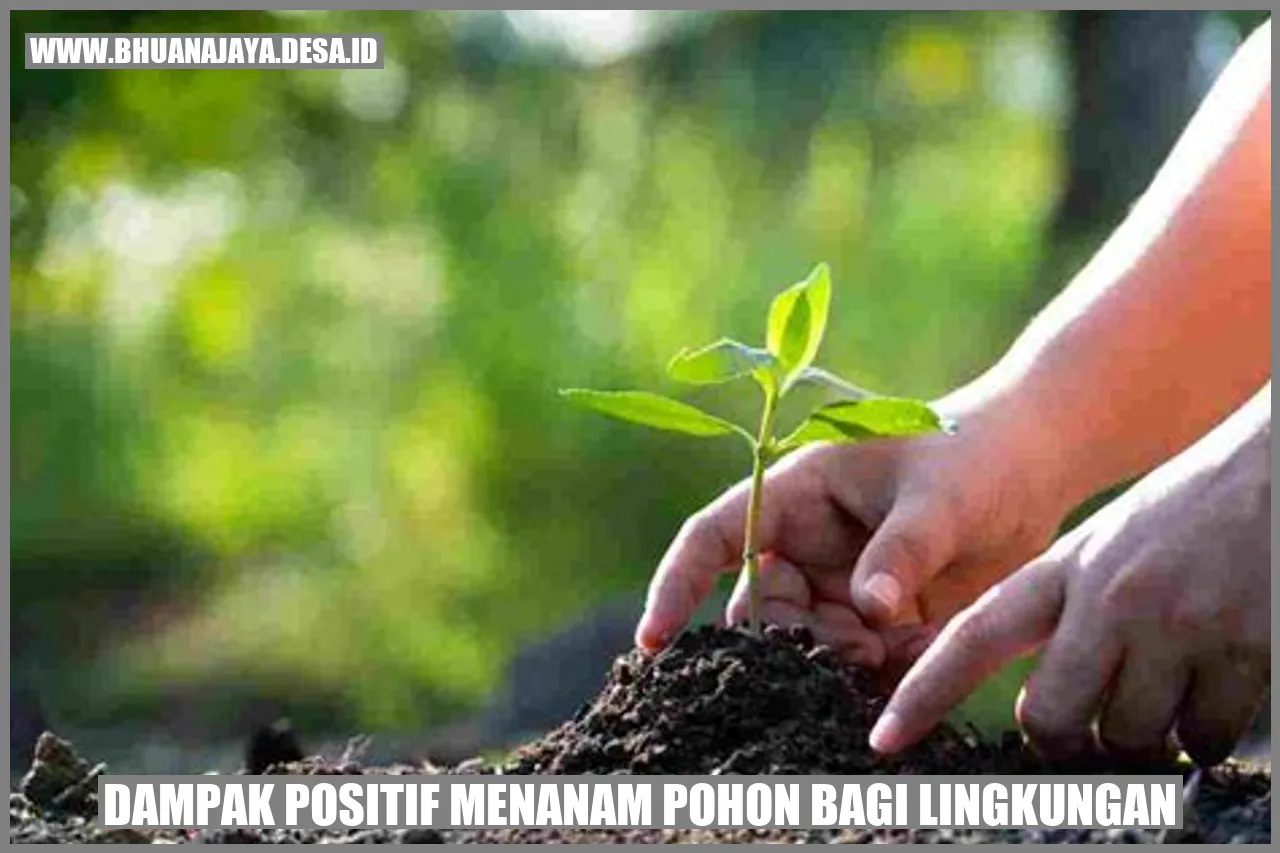 Dampak Positif Menanam Pohon bagi Lingkungan