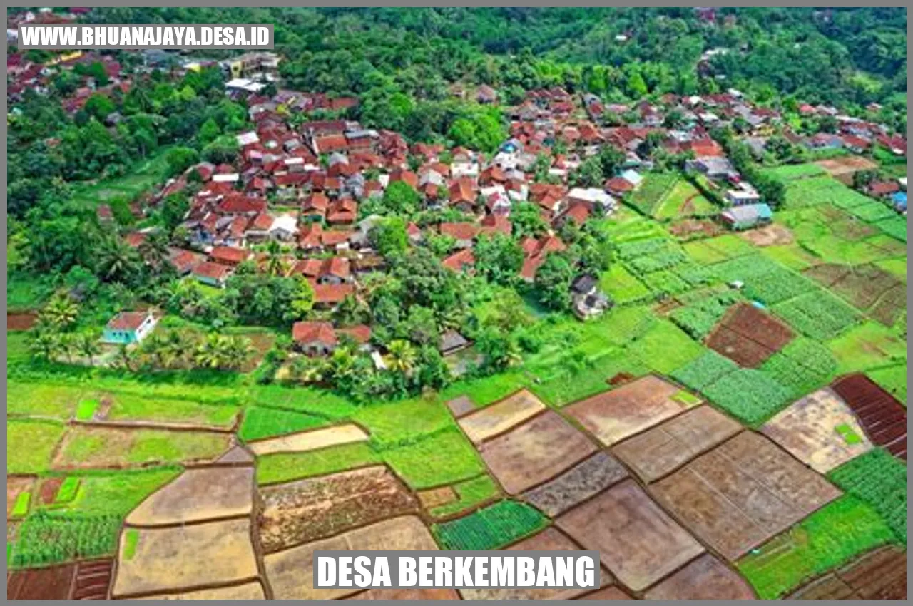 Gambar Desa berkembang