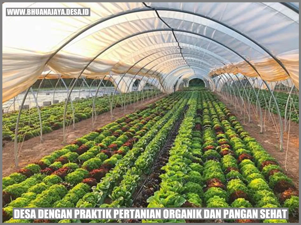 Desa dengan praktik pertanian organik dan pangan sehat