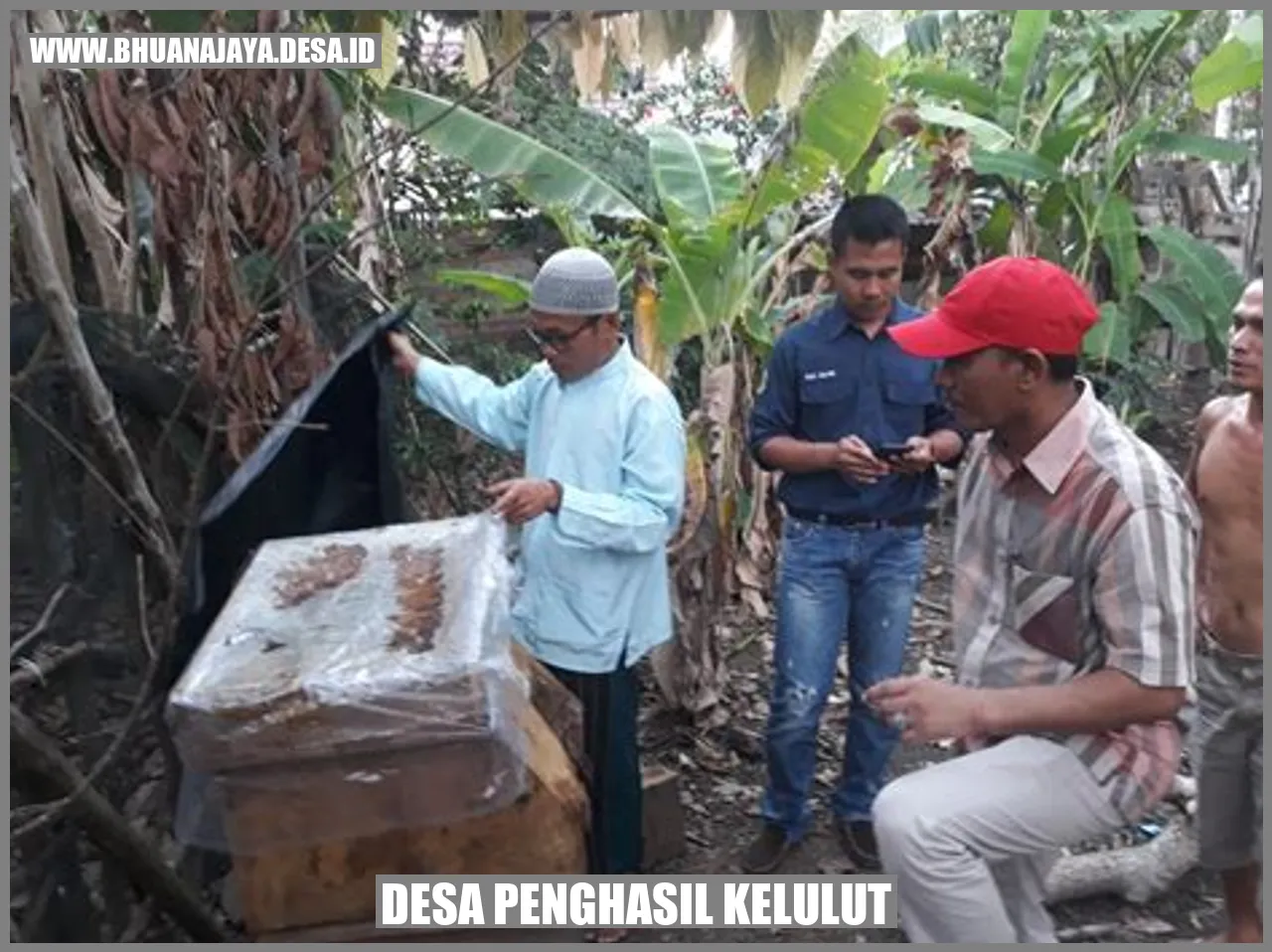 Desa Penghasil Kelulut