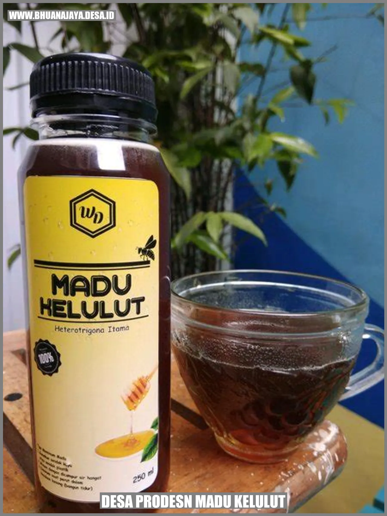 Madu Kelulut