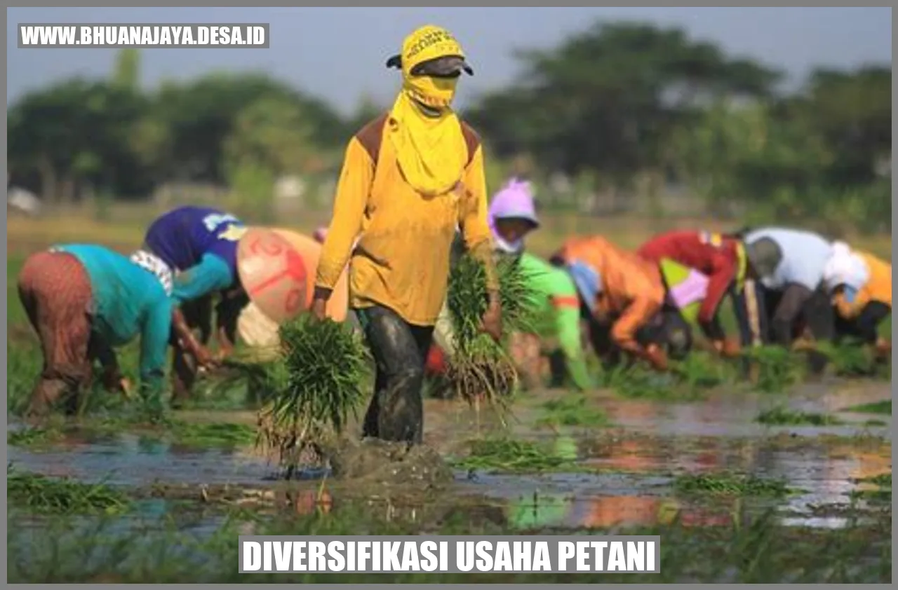 Diversifikasi usaha petani