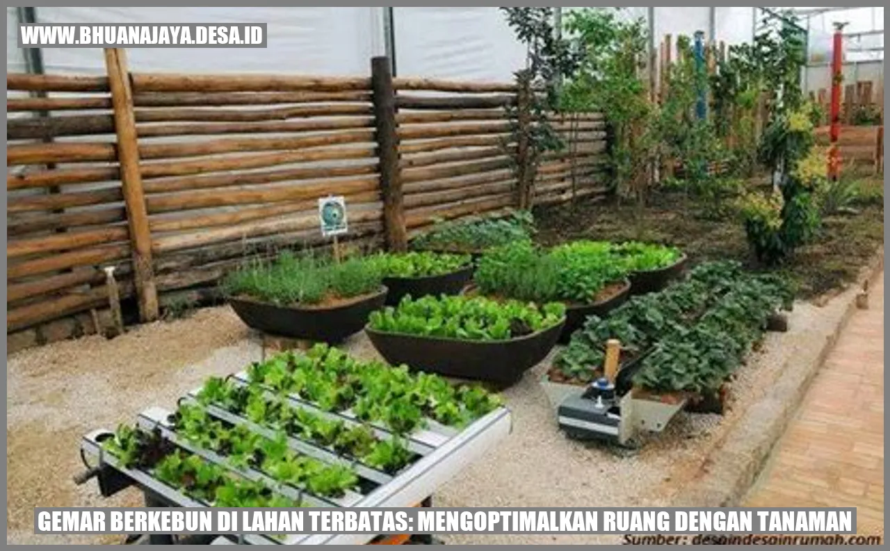 Gambar Berkebun