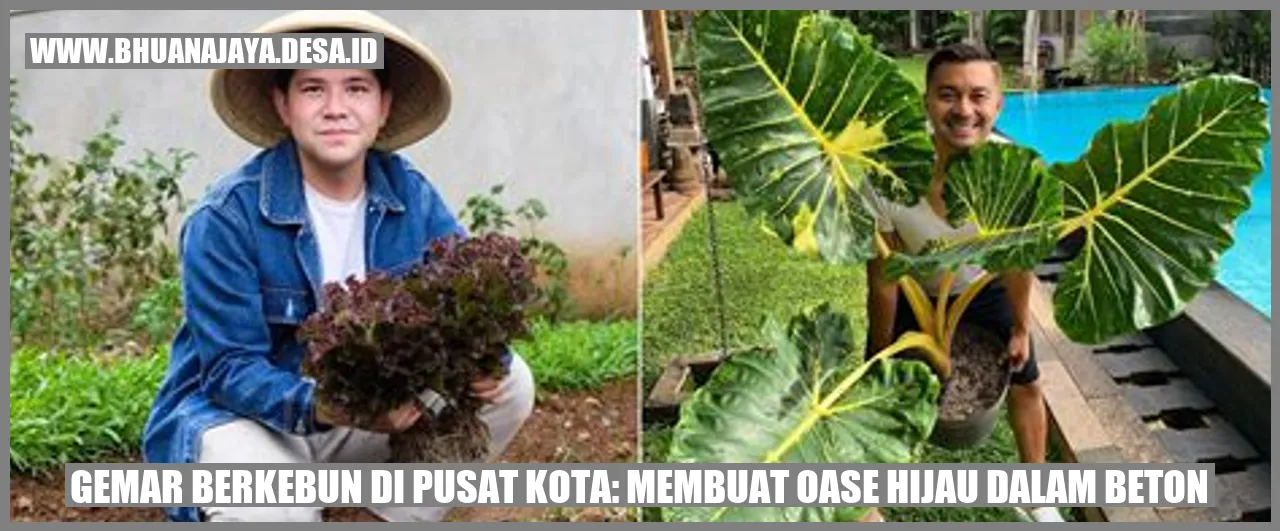 Gemar Berkebun di Pusat Kota: Membuat Oase Hijau dalam Beton