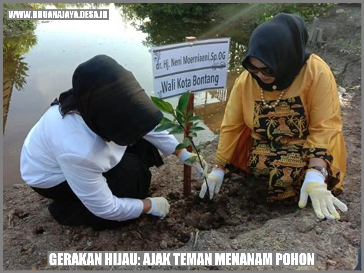 Gambar Pohon