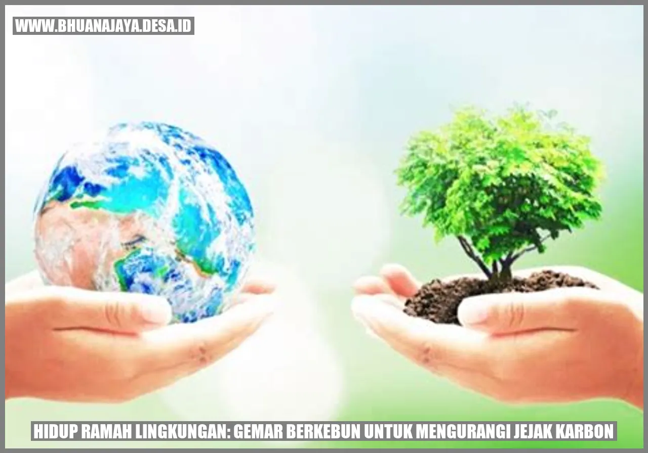 Hidup Ramah Lingkungan: Gemar Berkebun untuk Mengurangi Jejak Karbon