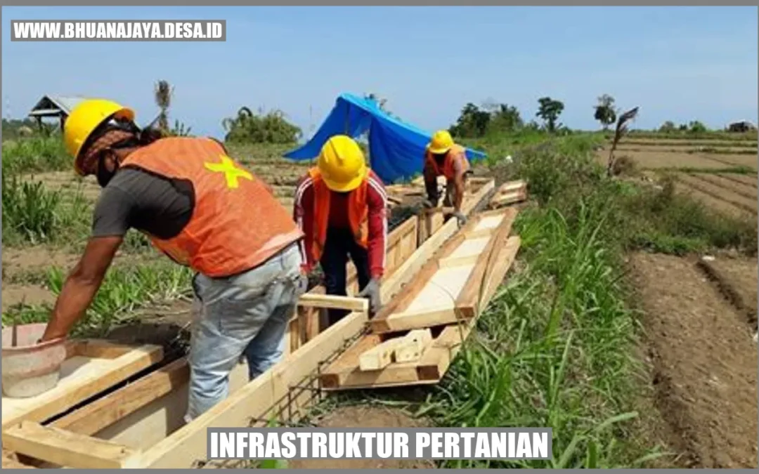 Infrastruktur Pertanian: Meningkatkan Produktivitas dan Pembangunan Desa