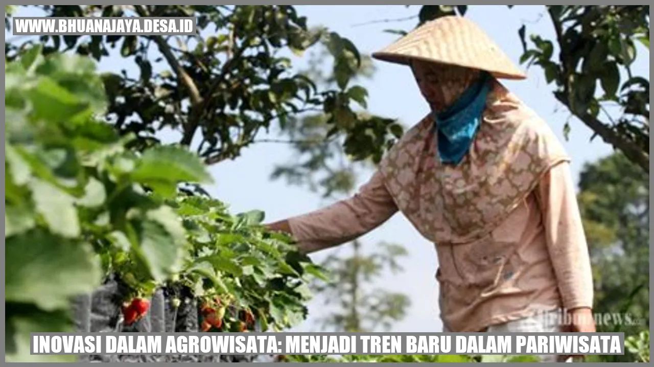 Inovasi dalam Agrowisata: Menjadi Tren Baru dalam Pariwisata