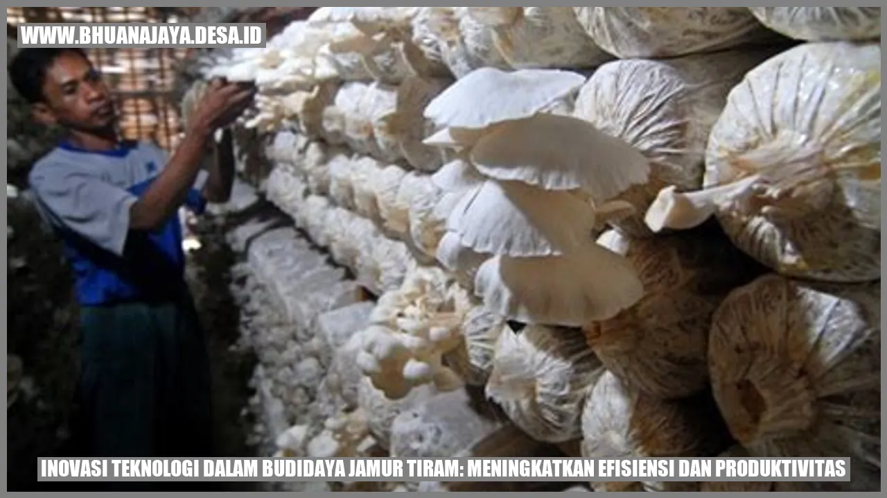 Inovasi Teknologi dalam Budidaya Jamur Tiram: Meningkatkan Efisiensi dan Produktivitas