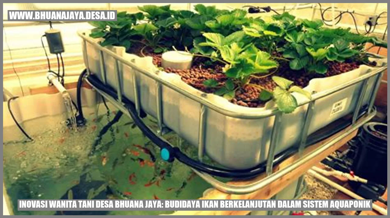 Inovasi Wanita Tani Desa Bhuana Jaya: Budidaya Ikan Berkelanjutan dalam Sistem Aquaponik