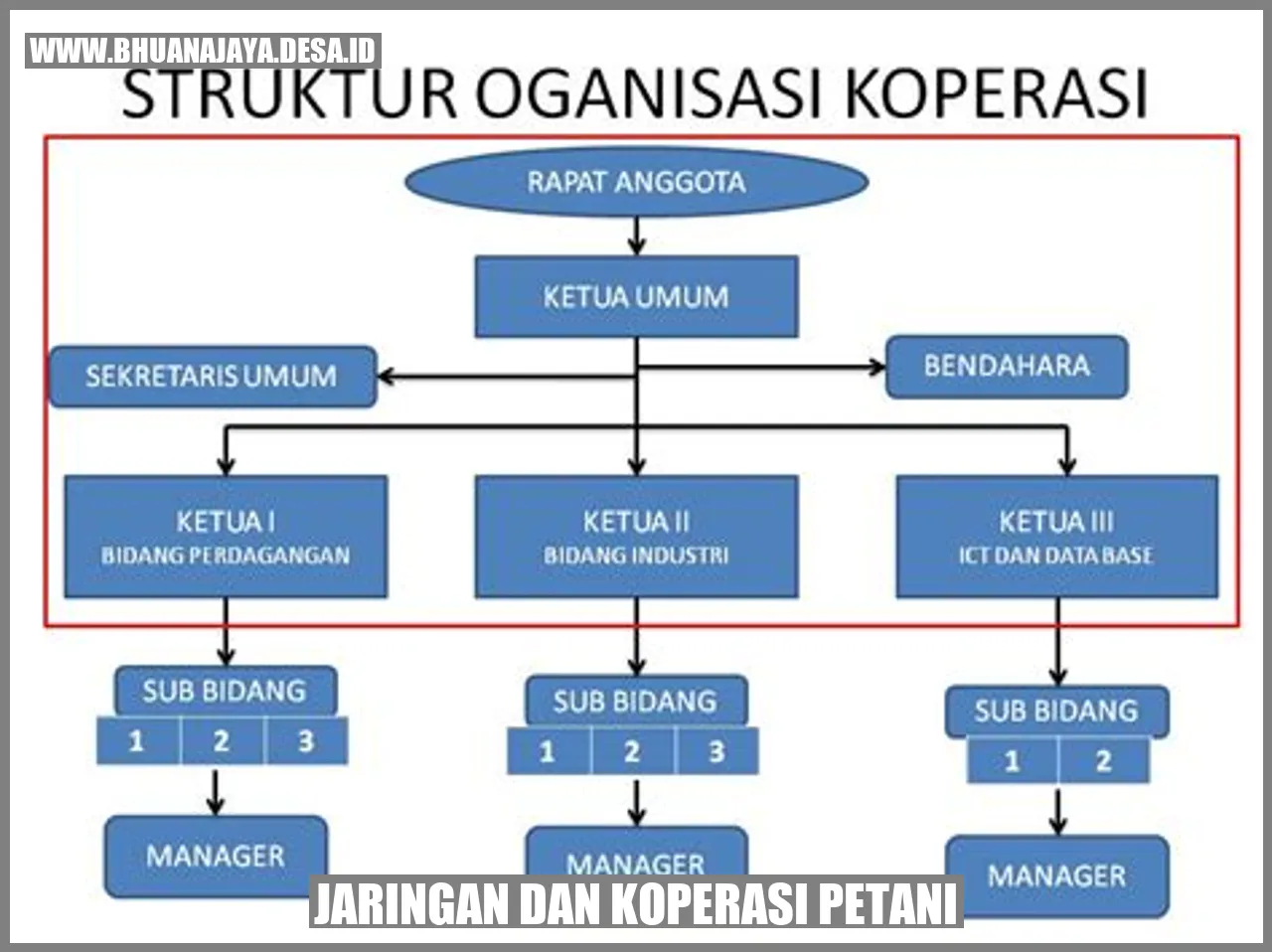 Jaringan dan koperasi petani