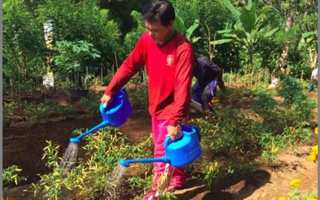 Terobosan Hijau di Pertanian dengan Hasil Melimpah!
