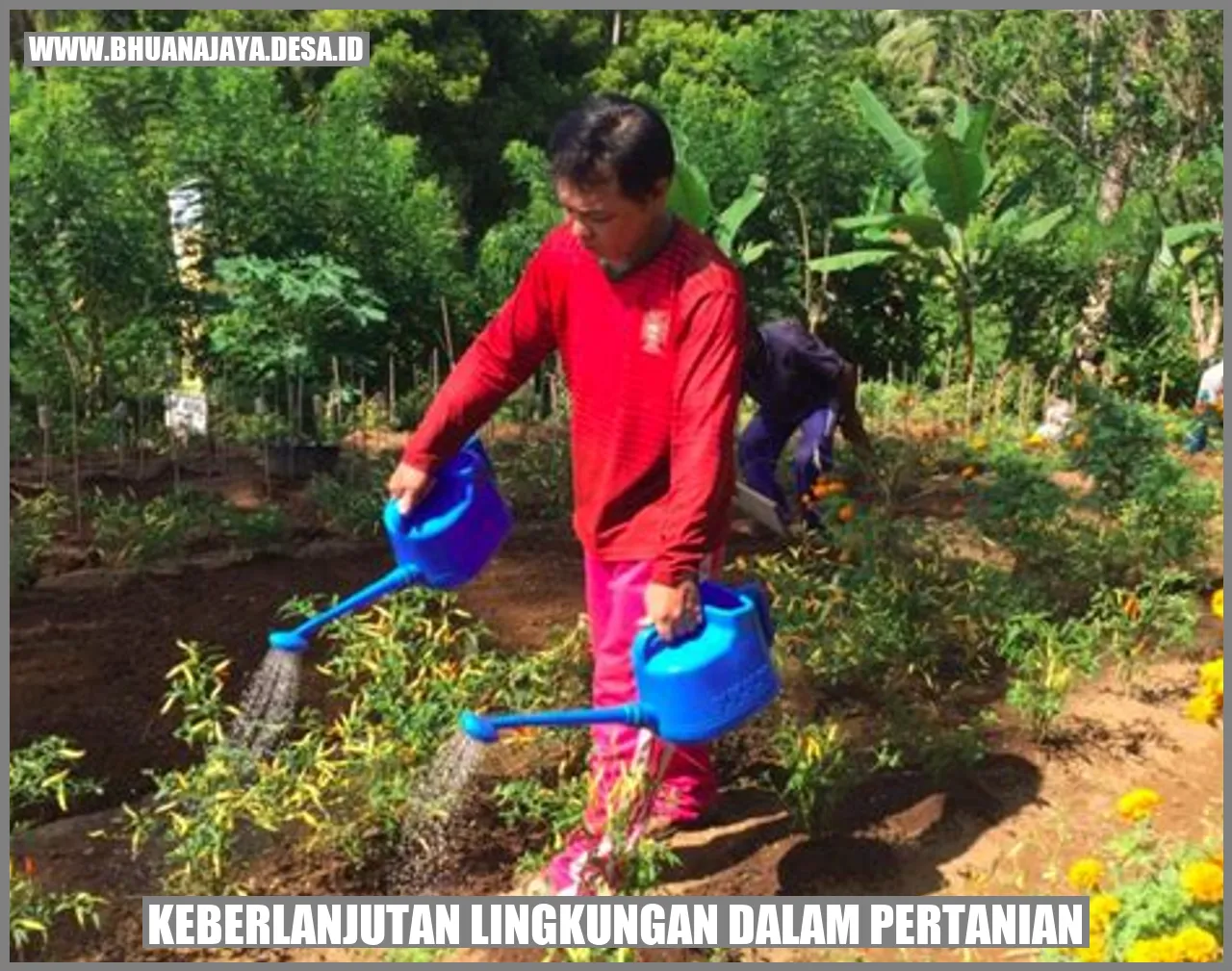 Keberlanjutan Lingkungan dalam Pertanian