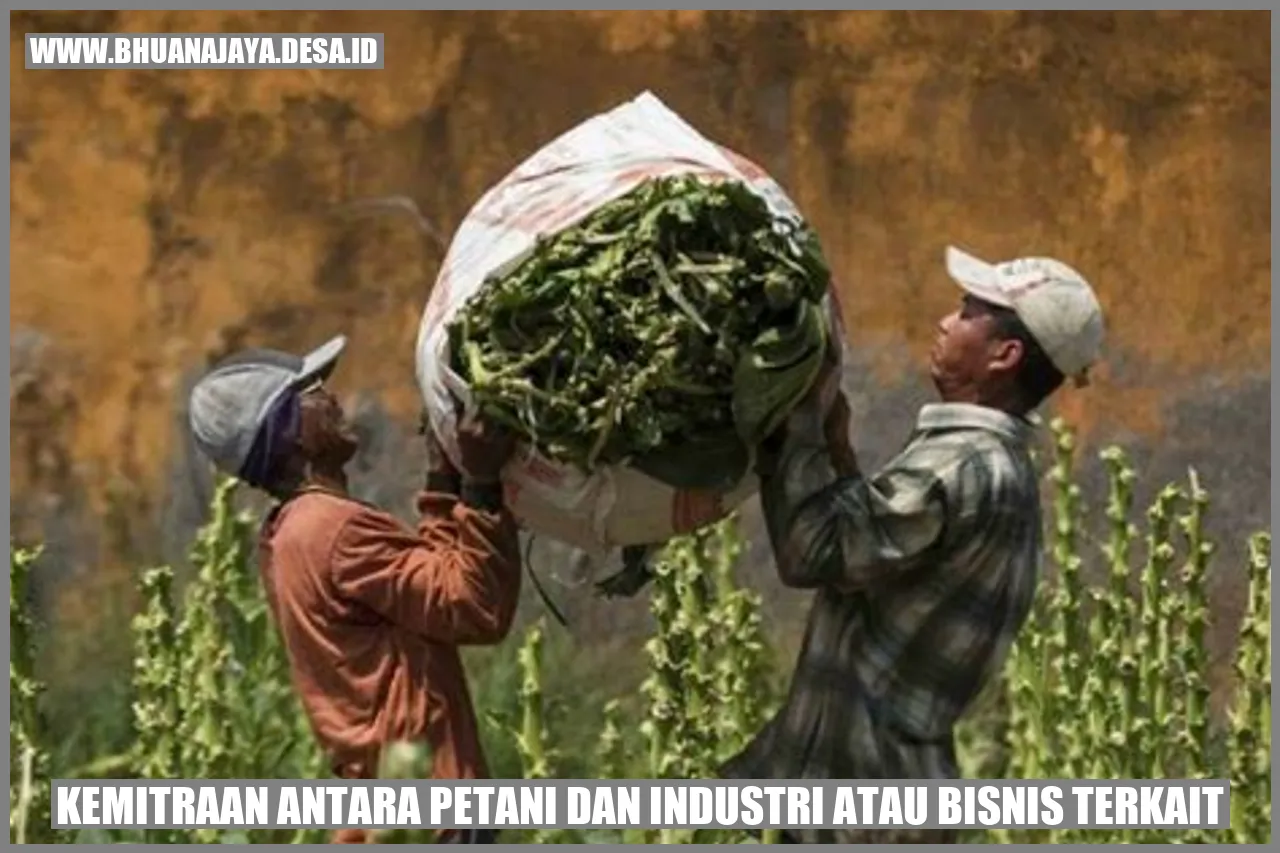 Kemitraan antara petani dan industri atau bisnis terkait