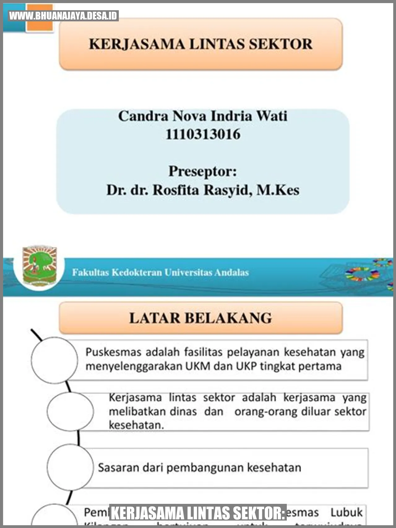 Kerjasama Lintas Sektor