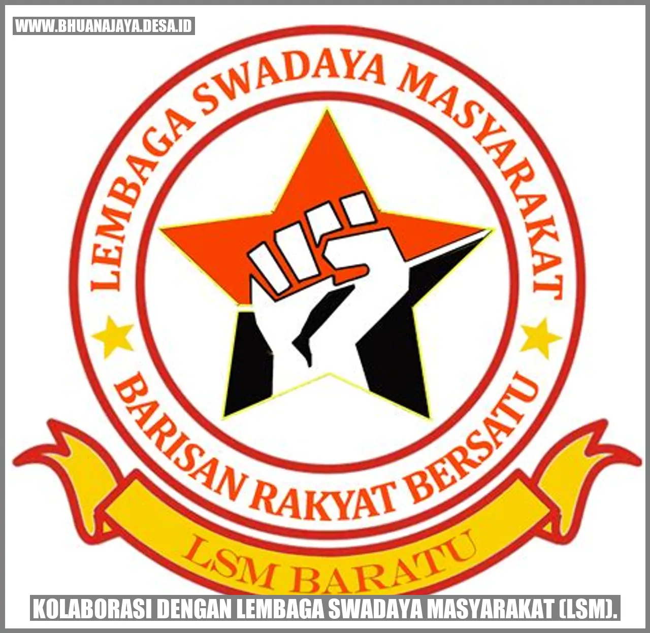 Kolaborasi dengan Lembaga Swadaya Masyarakat (LSM)