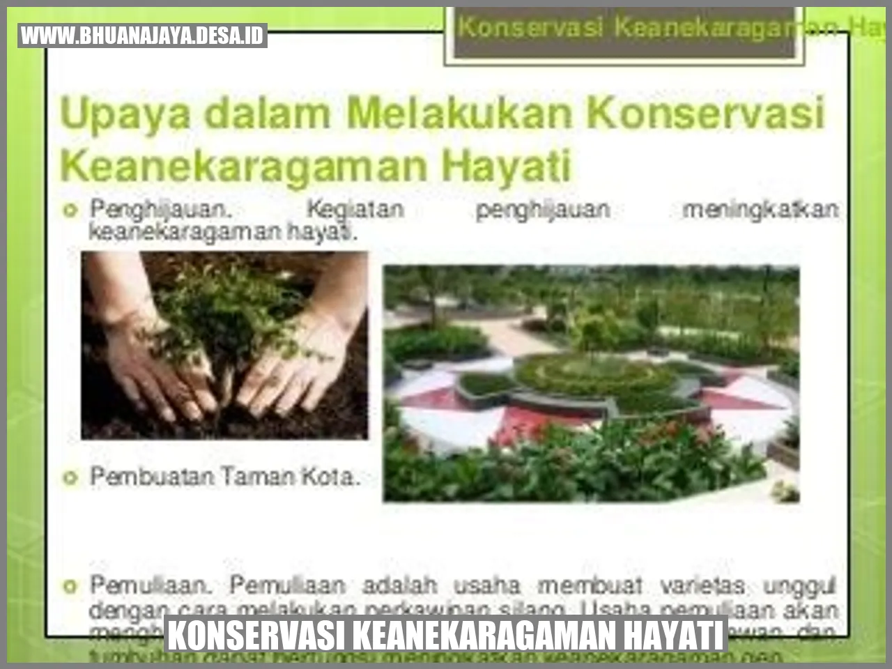 Konservasi Keanekaragaman Hayati