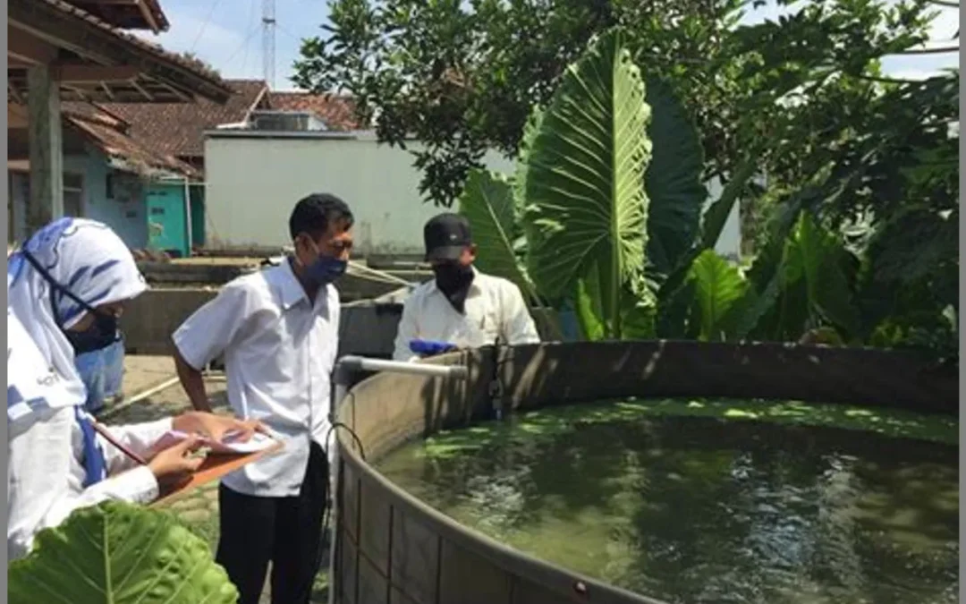 Kualitas air di desa cerdas