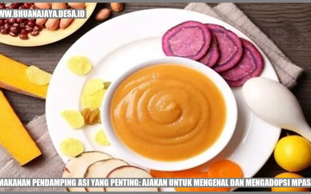 Makanan Pendamping ASI yang Penting: Ajakan untuk Mengenal dan Mengadopsi MPASI