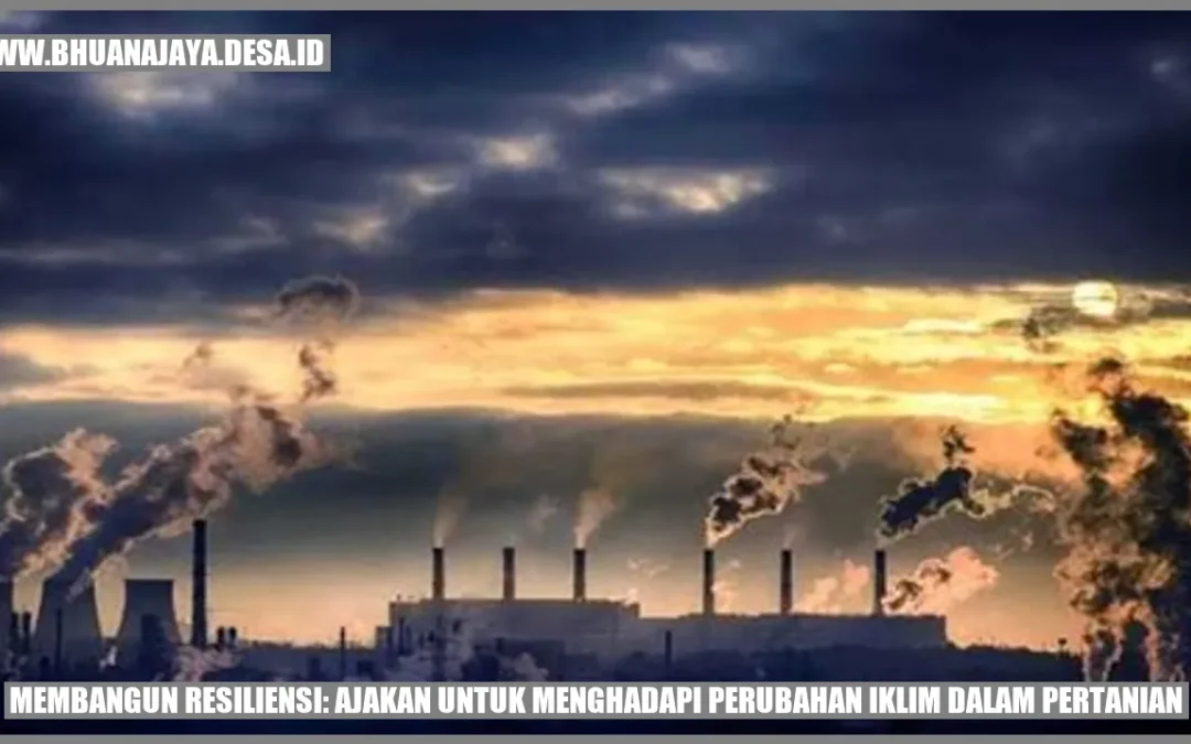 Membangun Resiliensi: Ajakan untuk Menghadapi Perubahan Iklim dalam Pertanian