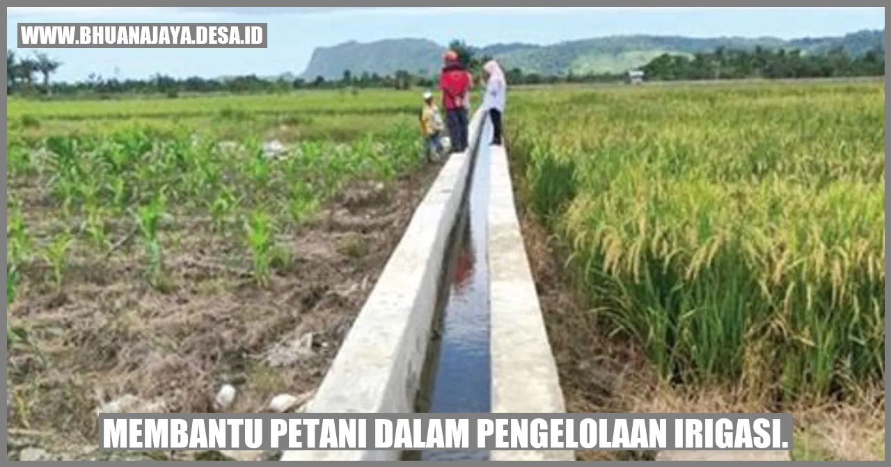 Membantu Petani dalam Pengelolaan Irigasi