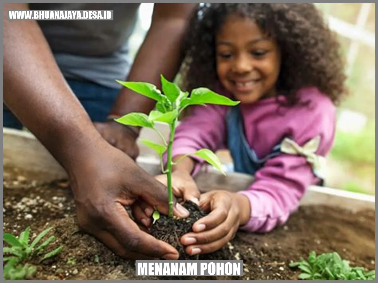 menanam pohon