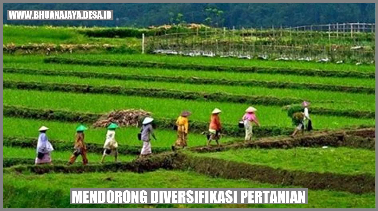 Mendorong Diversifikasi Pertanian