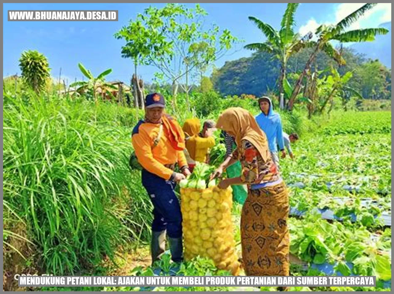 Mendukung Petani Lokal: Ajakan untuk Membeli Produk Pertanian dari Sumber Terpercaya