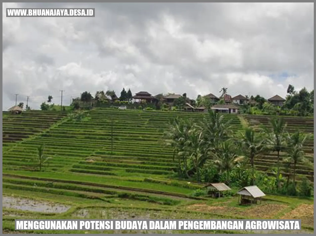 Menggunakan Potensi Budaya dalam Pengembangan Agrowisata
