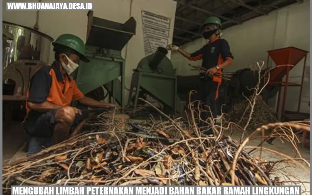 Mengubah Limbah Peternakan Menjadi Bahan Bakar Ramah Lingkungan
