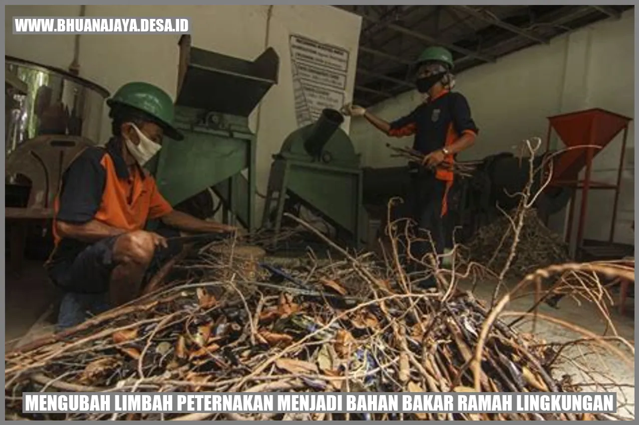 Mengubah Limbah Peternakan Menjadi Bahan Bakar Ramah Lingkungan