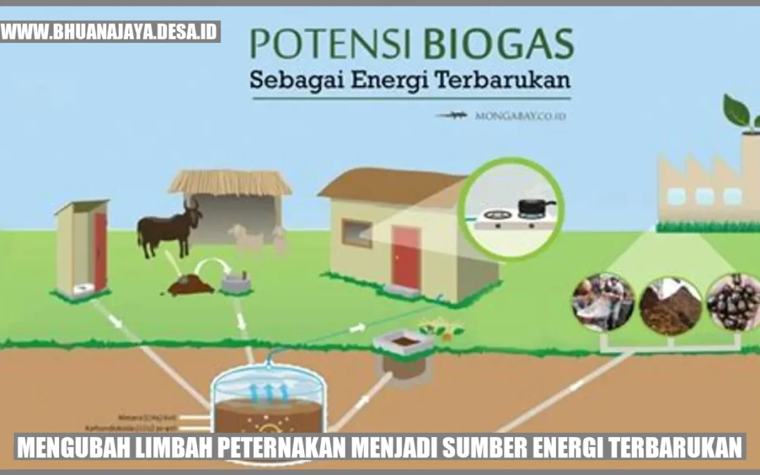 Mengubah Limbah Peternakan Menjadi Sumber Energi Terbarukan