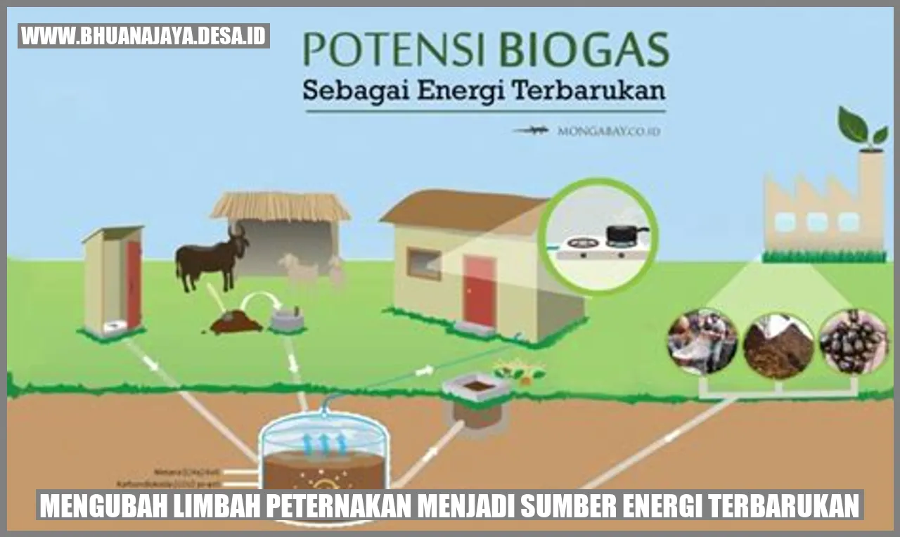 Mengubah Limbah Peternakan Menjadi Sumber Energi Terbarukan