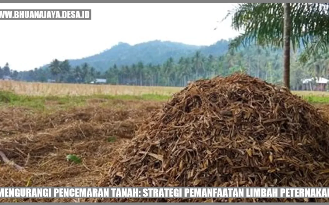 Mengurangi Pencemaran Tanah: Strategi Pemanfaatan Limbah Peternakan