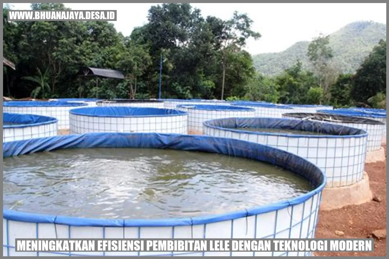Meningkatkan Efisiensi Pembibitan Lele dengan Teknologi Modern