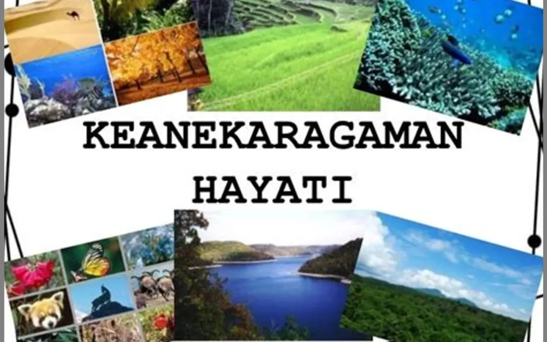 Menjaga Keanekaragaman Hayati: Ajakan untuk Melestarikan Pertanian Berbasis Biodiversitas