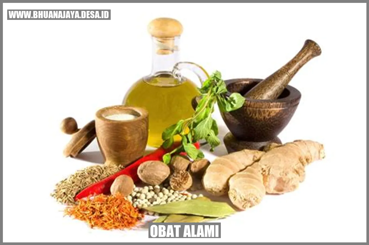 Obat alami