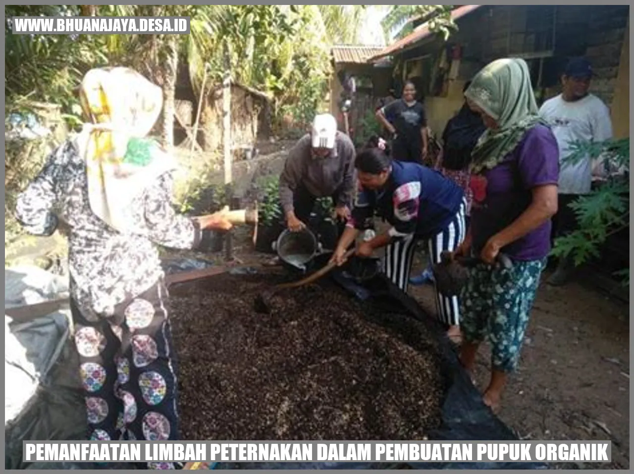 Pemanfaatan Limbah Peternakan dalam Pembuatan Pupuk Organik