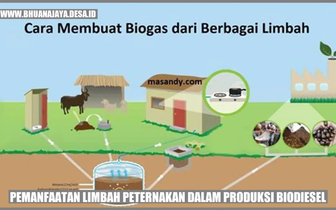 Penggunaan Limbah Peternakan dalam Produksi Biodiesel