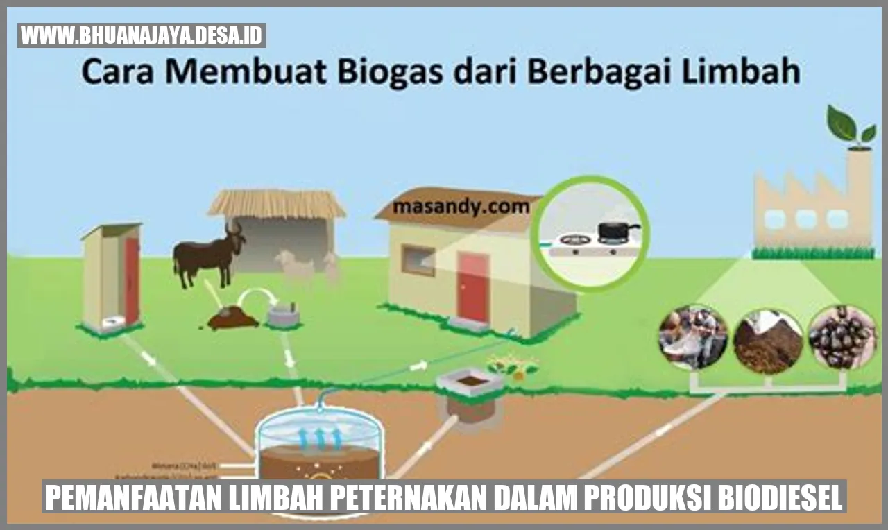 Pemanfaatan Limbah Peternakan dalam Produksi Biodiesel