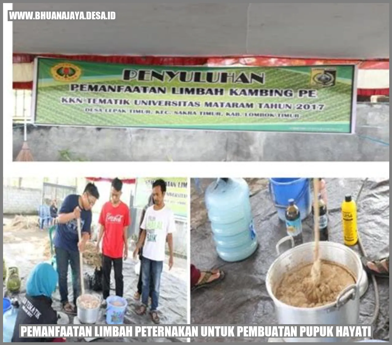 Pemanfaatan Limbah Peternakan untuk Pembuatan Pupuk Hayati