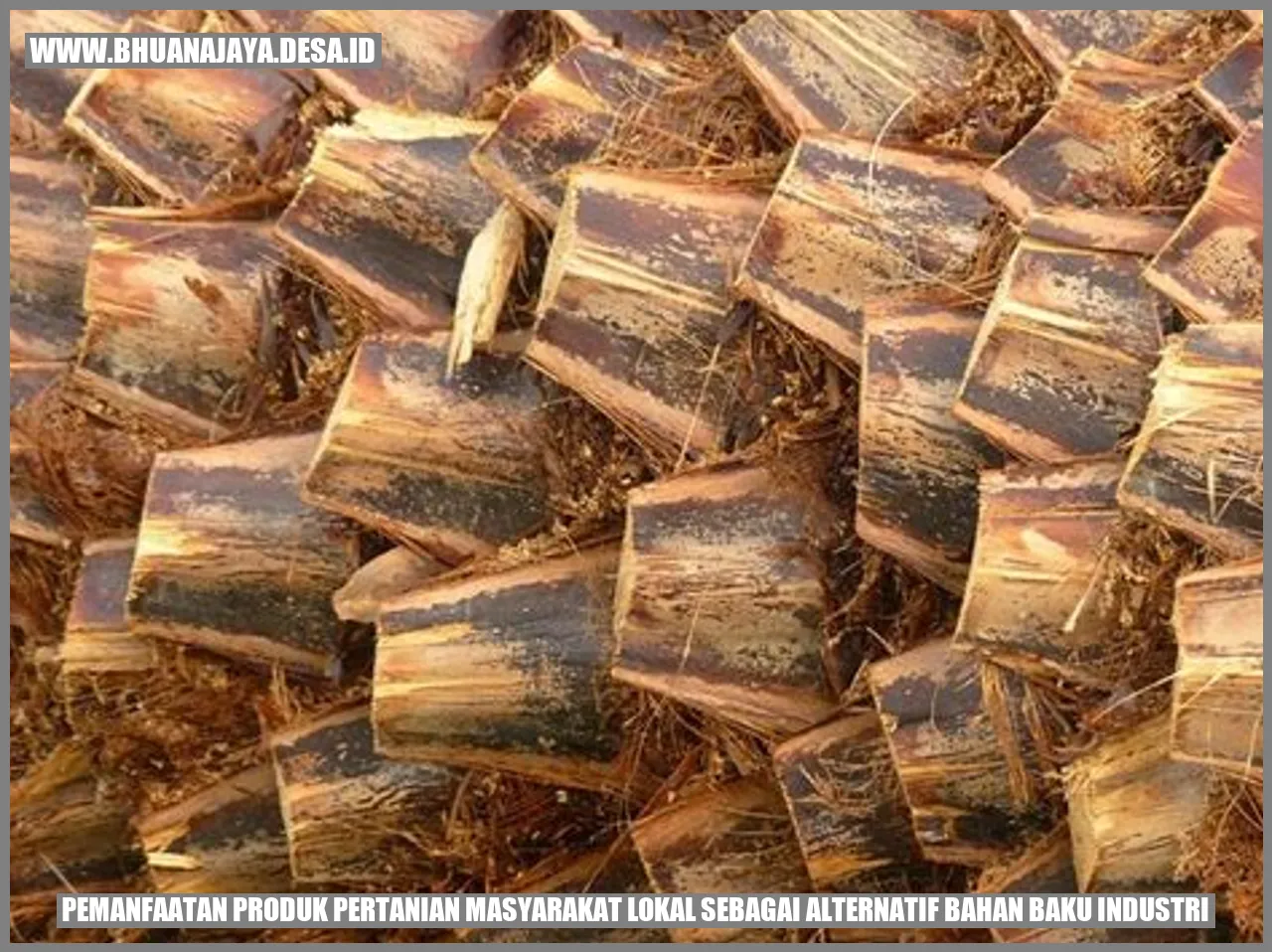 Pemanfaatan Produk Pertanian Masyarakat Lokal sebagai Alternatif Bahan Baku Industri