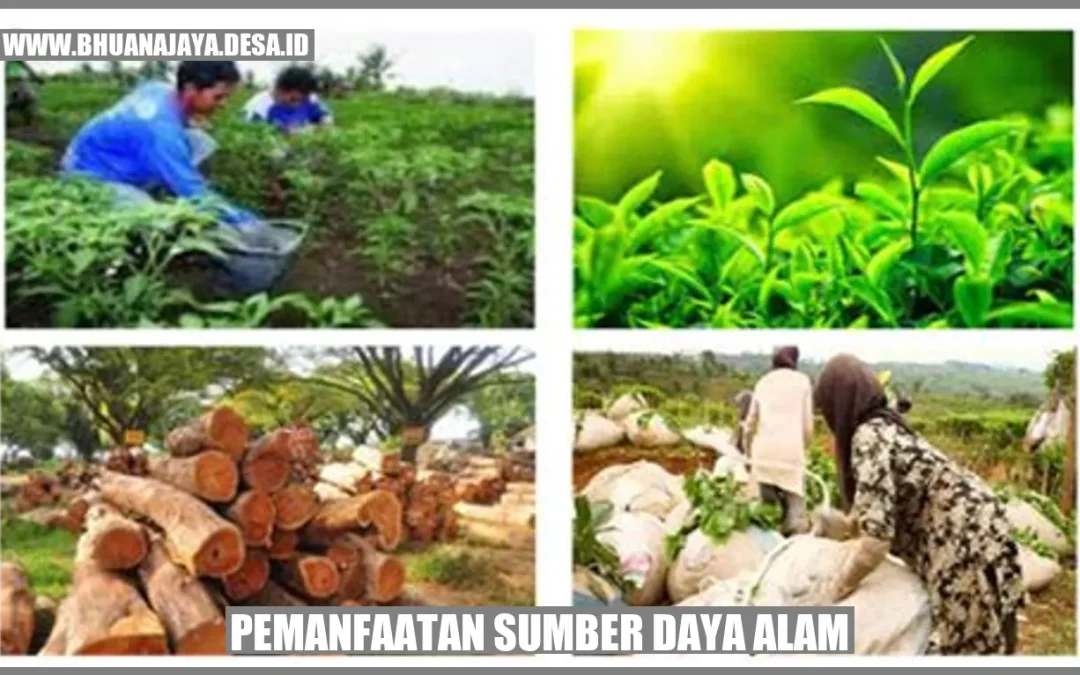Pemanfaatan Sumber Daya Alam: Meningkatkan Kesejahteraan dan Kehidupan Berkelanjutan